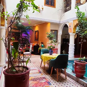 ** رياد Zahri المغرب